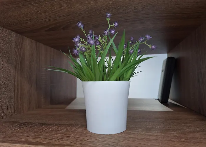 Apartman Danica