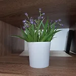 Appartement Danica